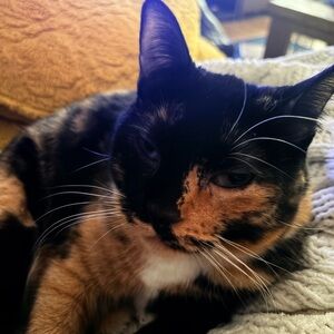 Hi, I’m Christina (: